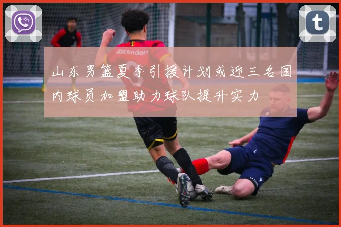 山东男篮夏季引援计划或迎三名国内球员加盟助力球队提升实力