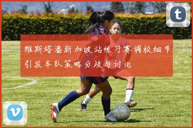 维斯塔潘新加坡站练习赛调校细节引发车队策略分歧与讨论